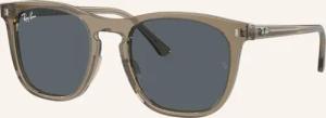 Ray-Ban Sonnenbrille RB2210