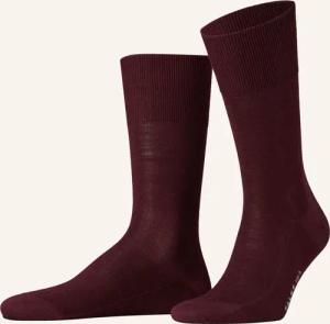 FALKE Socken LUXURY NO. 6