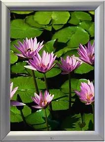 update displays Klapprahmen silber 91,0 x 127,0 cm