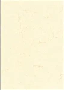 RNK-Verlag Motivpapier Elefantenhaut chamois DIN A3 190 g/qm 10 Blatt