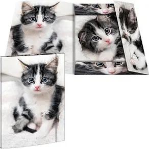 RNK-Verlag Zeichenmappe DIN A3 Katze