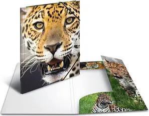 3 HERMA Zeichenmappen DIN A3 Leoparden