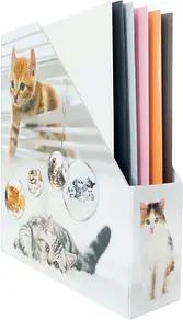HERMA Stehsammler 19717 Katzen Karton, DIN A4