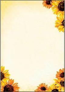 SIGEL Motivpapier Field of Sun Motiv DIN A4 90 g/qm 50 Blatt