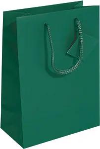 5 SIGEL Geschenktaschen grün 17,0 x 23,0 cm