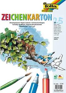 folia Tonpapier Zeichenkarton weiß 120 g/qm 25 Blatt