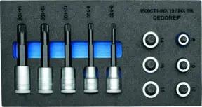 Gedore 1500 CT1-INX 19 LK Satz Schraubendrehereinsätze 1/2" in Check-Tool-Modul