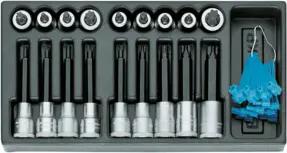 Gedore 1500 ES-ITX 19 LKP Satz Schraubendrehereinsätze 1/2" in 1/3 ES-Modul