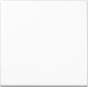 Jung Steuertaste Standard A 1700 BF WW
