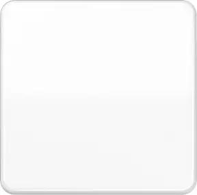 Jung Wippe aws für Schalter/Taster CD 590 BF WW