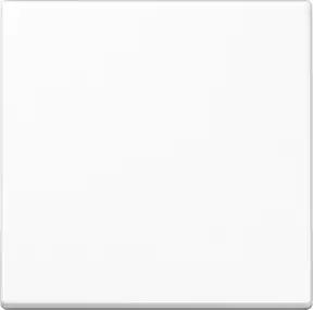 Jung Steuertaste Standard A 1700 WW