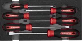 Gedore R22150013 Schraubendrehersatz PH+SL 2/6 CT-Modul 6-teilig
