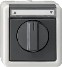 Gira Jalousietaster/Schalter grAP-WG 015430