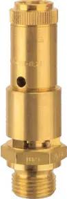 Riegler Sicherheitsventil DN 10, Messing, G 3/4, Ansprechdruck 1,1 bar