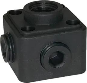 Riegler Luftverteilerdose »speedfit« Kunstst., 5xG 1/2 IG, selbstdichtend