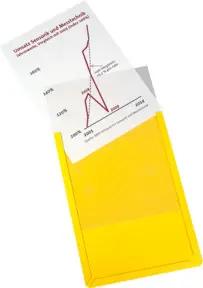 Eichner Magnet-Sichttasche aus Hart-PVC DIN A4 hoch, gelb