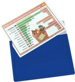 Eichner Magnet-Sichttasche aus Hart-PVC DIN A4 quer, blau