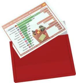 Eichner Magnet-Sichttasche aus Hart-PVC DIN A4 quer, rot