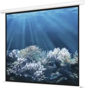 Magnetoplan Elektrische Leinwand Standard, 2000 x 2000 mm, 1:1