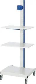 Rau Computer-Ständer mobil BxTxH 650x650x1750mm