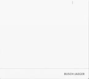 Busch-Jaeger System Access Point 2.0 Wireless SAP/S.13