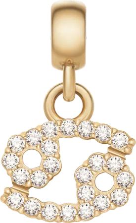 Daniel Wellington DW Charm Zodiac Gold