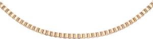 Daniel Wellington DW Staple Box 45-49cm Rose Gold
