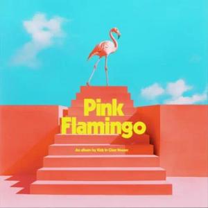 Pink Flamingo von Kids In Glass Houses - CD (Jewelcase)