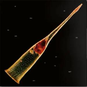 Melodies of atonement von Leprous - CD (Jewelcase)