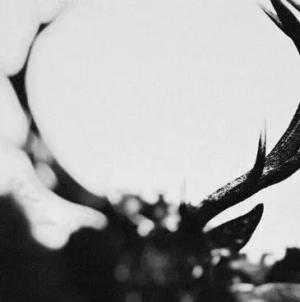 Ihsahn (Orchestral Version) von Ihsahn - CD (Jewelcase, Limited Edition)
