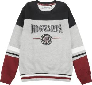 Harry Potter Sweatshirt - Kids - Hogwarts - England Made - 164 bis 176 - für Mädchen & Jungen - Größe 164 - multicolor  - Lizenzierter Fanartikel