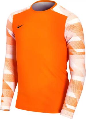 Kinder Torwarttrikot langarm Nike Dry Park IV