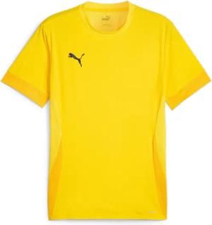 Trikot Puma TeamGoal