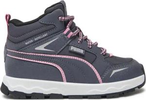 Puma Sneakers Evolve Trail Ps 397645 03 Grau