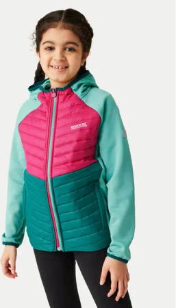 Regatta Softshelljacke Kielder VIII RKN153 Grün Regular Fit