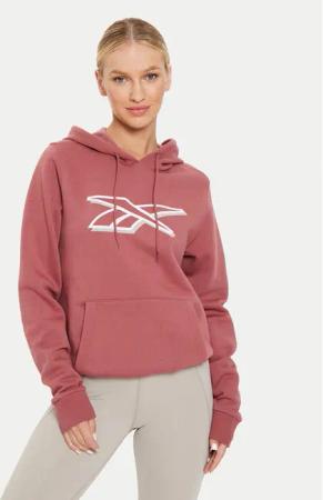 Reebok Sweatshirt Graphic OTH Hoodia 100202148 Braun Regular Fit
