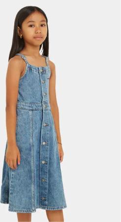 Calvin Klein Jeans Jeanskleid IG0IG02397 D Blau Regular Fit