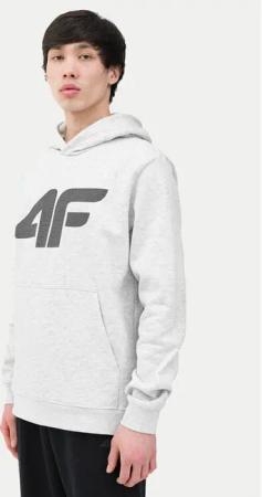 4F Sweatshirt 4FWSS24TSWSM0950 Grau Regular Fit