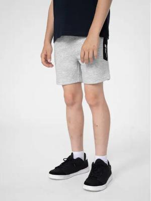 4F Sportshorts 4FJSS23TSHOM049 Grau Regular Fit