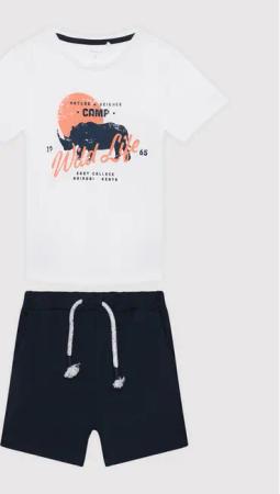 NAME IT Set T-Shirt und Shorts 13199624 Bunt Regular Fit