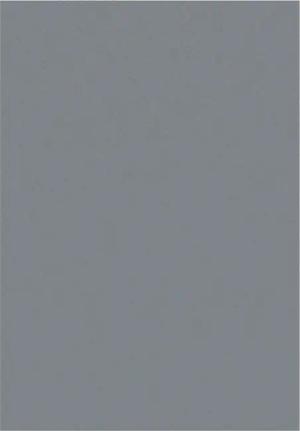 Ayyildiz Teppich SKY grau B/L: ca. 140x200 cm