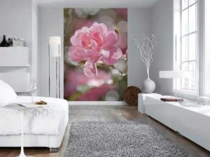 Komar Fototapete Bouquet 4-713 B/H: ca. 184x254 cm
