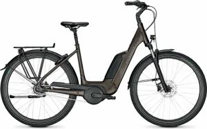 Kalkhoff IMAGE 1.B MOVE FL (500 Wh), 8 Gang Nabenschaltung, Damenfahrrad, Wave, Modell 2022, 28 Zoll 55 cm crystalgrey matt