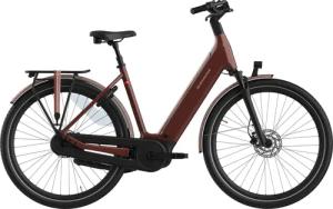 Batavus Finez E-go® Power Plus (750 Wh), 5 Gang Nabenschaltung, Damenfahrrad, Deep, Modell 2024, 28 Zoll 53 cm dark orange