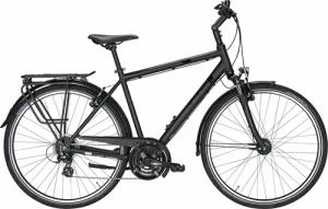 Pegasus Savona SL, 24 Gang Kettenschaltung, Herrenfahrrad, Diamant, Modell 2021, 28 Zoll 58 cm black matt/i-silver