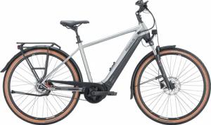 Pegasus Premio Evo 5R Belt (625 Wh), 5 Gang Nabenschaltung, Herrenfahrrad, Diamant, Modell 2024, 28 Zoll 60 cm silver / black