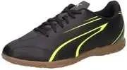 PUMA Vitoria IT Indoor Fußball Herren schwarz