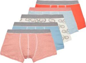 Petit Bateau Boxer BOXERS PETIT BATEAU PACK X5