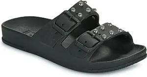 Cacatoès  Pantoffeln FLORIANOPOLIS