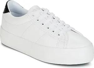 No Name Sneaker PLATO SNEAKER